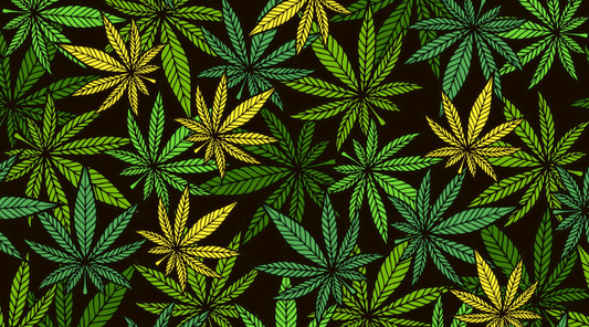 Why is 420 Associated With Weed?